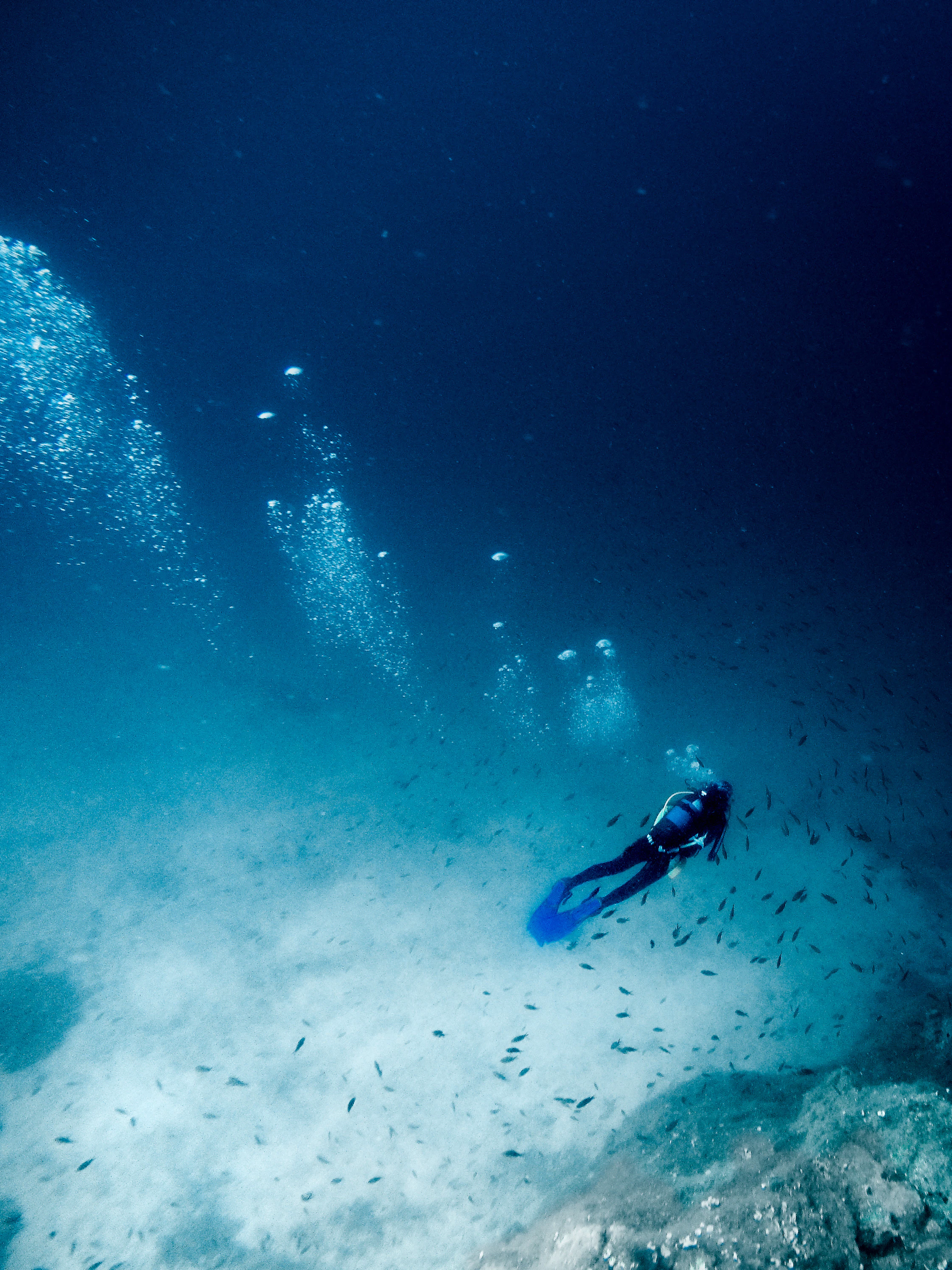 A diver near the sea floor